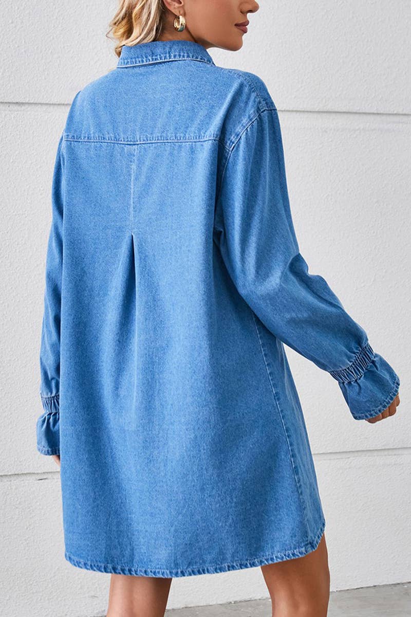 Classic Denim Shirt Dress BLUE / (S) 1